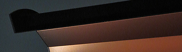 portion of the artwork for Cezarija Abartis's story