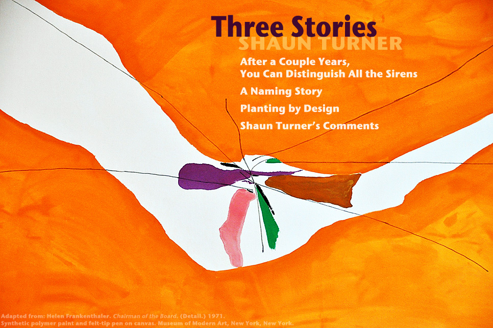 Artwork for Shaun Turner's stories