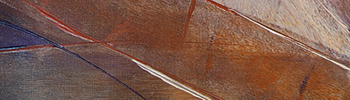 portion of the artwork for Meredith Davies Hadaway's poetry