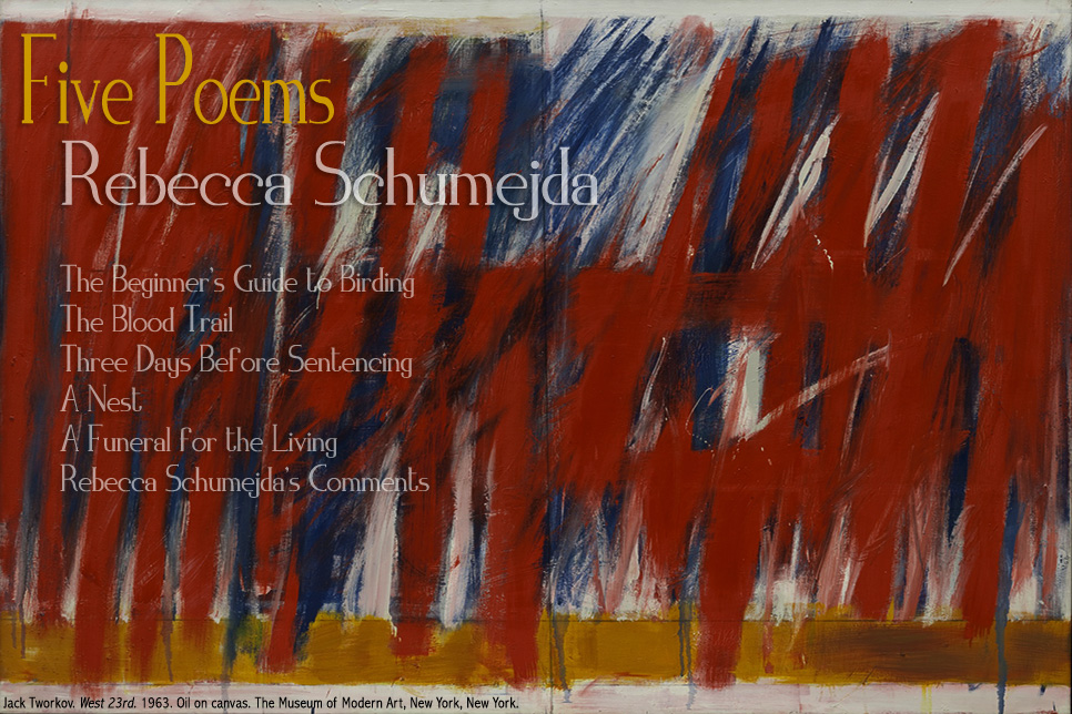 Artwork for Rebecca Schumejda's poems