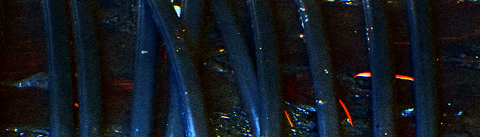 portion of the artwork for William C. Blome's story