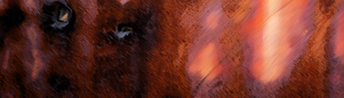 portion of the artwork for Keith Lesmeister's short story