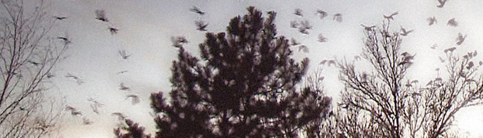portion of the artwork for Robert J. Bradley's short story