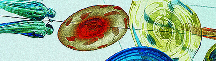 portion of the artwork for Iris Litt's poem