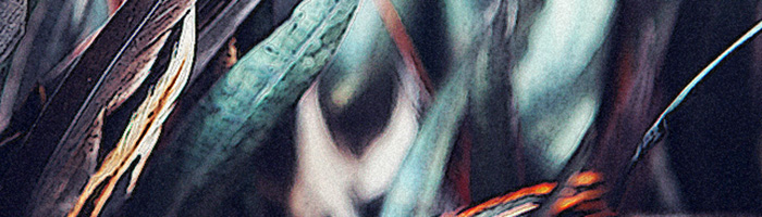 portion of the artwork for Ivy Grimes' poem