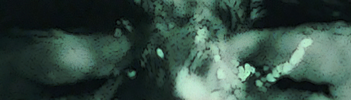 portion of the artwork for Rudy Koshar's short story