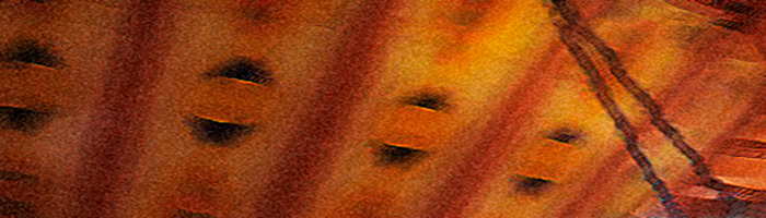 portion of the artwork for Sharon Kennedy-Nolle's poem