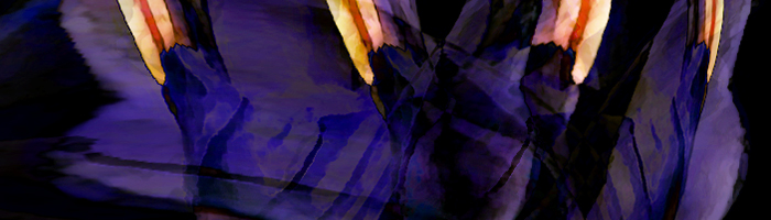 portion of the artwork for Kim Magowan's stories