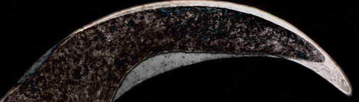 portion of the artwork for Michelle Ross's stories