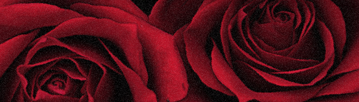 portion of the artwork for Z.Z. Boone's short story
