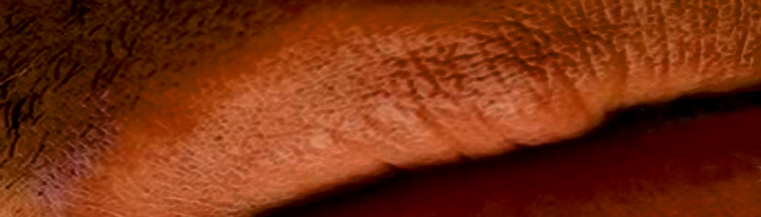 portion of David Erlewine artwork