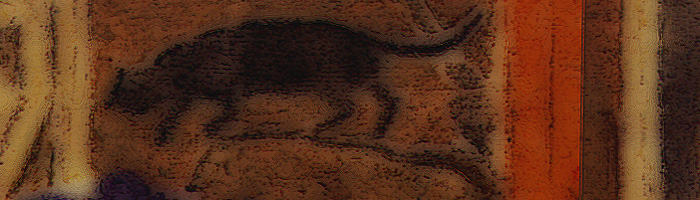 portion of the artwork for Matthew Sinex's poetry