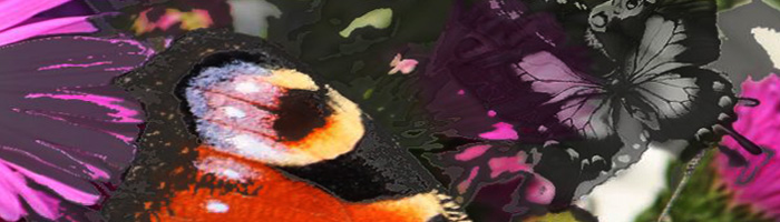 portion of the artwork for Brandon Wells' fiction