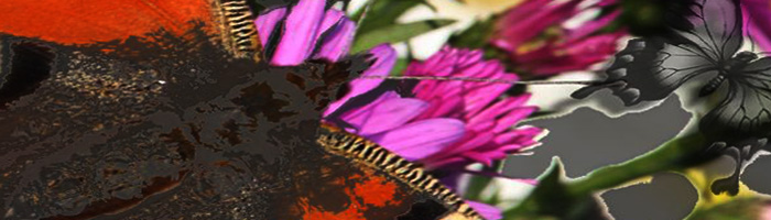 portion of the artwork for Brandon Wells' fiction