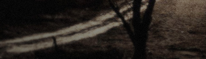 portion of the artwork for Alex Pruteanu’s fiction