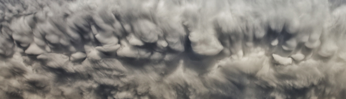 portion of the artwork for Kelly Luce's poetry