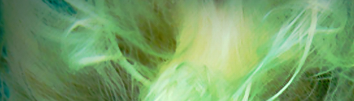 portion of the artwork for Gary Moshimer's fiction