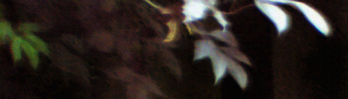 portion of the artwork for Simon Perchik's poetry