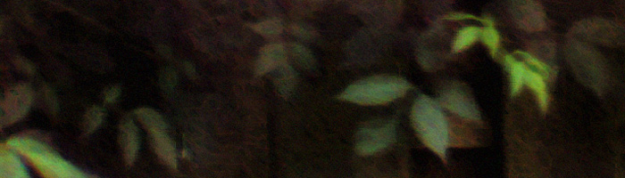 portion of the artwork for Simon Perchik's poetry