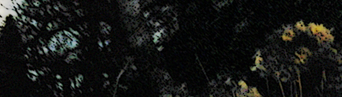 portion of the artwork for Sam Rasnake's poetry