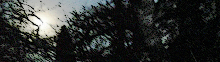 portion of the artwork for Sam Rasnake's poetry