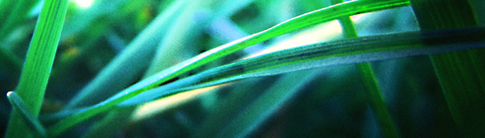 portion of the artwork for Vincent Poturica's fiction