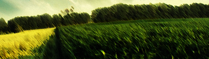 portion of the artwork for Joseph Young's fiction