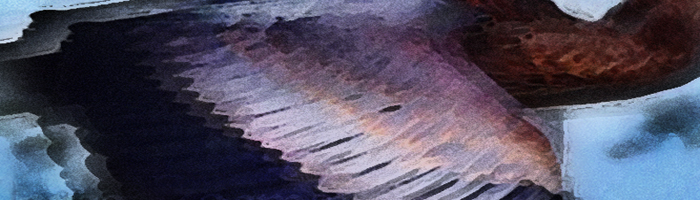 portion of the artwork for Lynn Hoggard's poetry