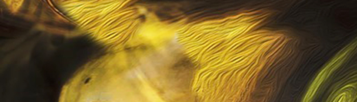 portion of the artwork for M Ross Henry's poetry
