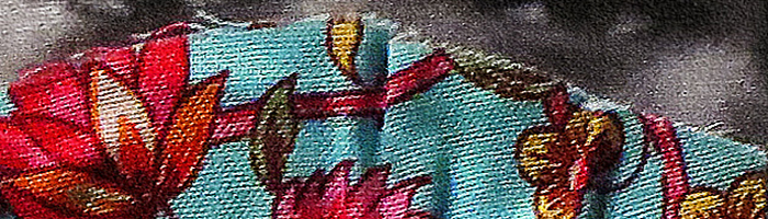 portion of the artwork for Dania Tomlinson's story