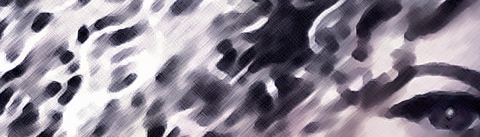 portion of the artwork for Gail Siegel's creative nonfiction
