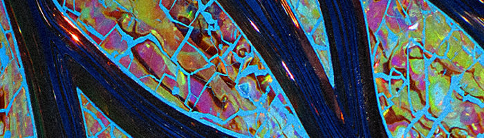 portion of the artwork for Melissa Newman-Evans's poetry