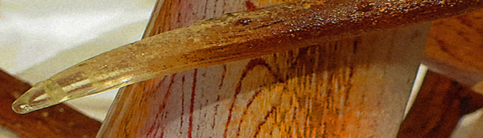 portion of the artwork for Claudia F. Savage's poem