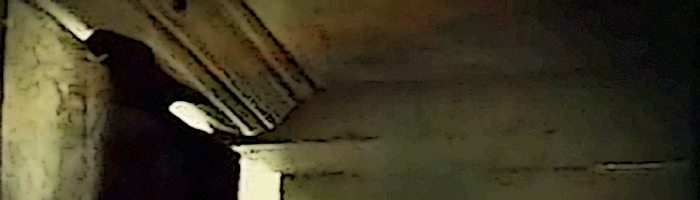portion of the artwork for James Ardis's poetry