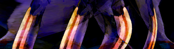 portion of the artwork for Kim Magowan's stories