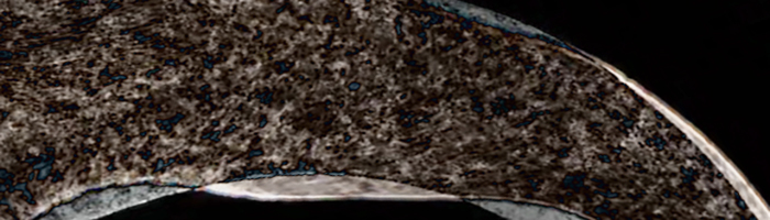 portion of the artwork for Michelle Ross's stories