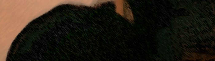 portion of the artwork for Thaddeus Rutkowski's stories
