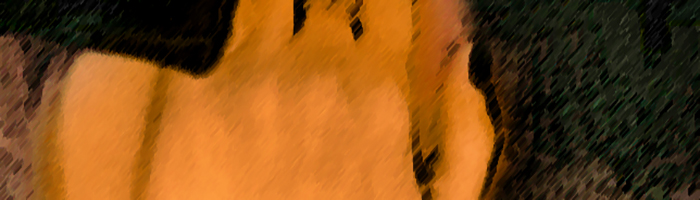 portion of the artwork for Thaddeus Rutkowski's stories
