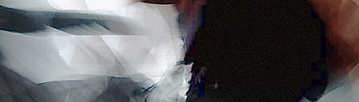 portion of the artwork for JR Walsh's poetry