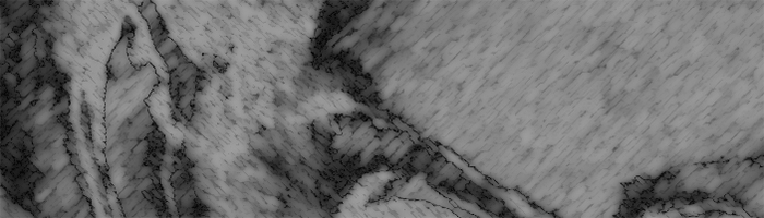 portion of the artwork for Mather Schneider's poetry