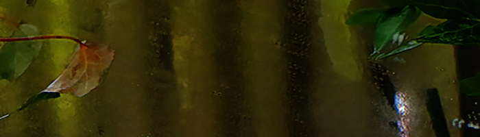 portion of the artwork for Kevin Spaide's stories