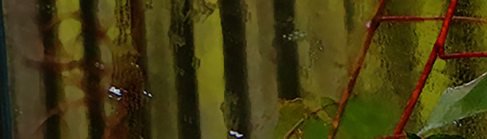 portion of the artwork for Kevin Spaide's stories