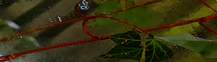 portion of the artwork for Kevin Spaide's stories