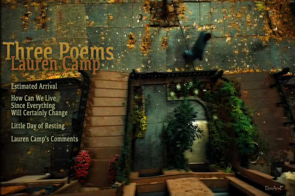 Artwork for Lauren Camp's poems